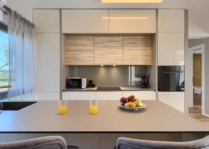 Chiara By Interhome Villa Brtonigla